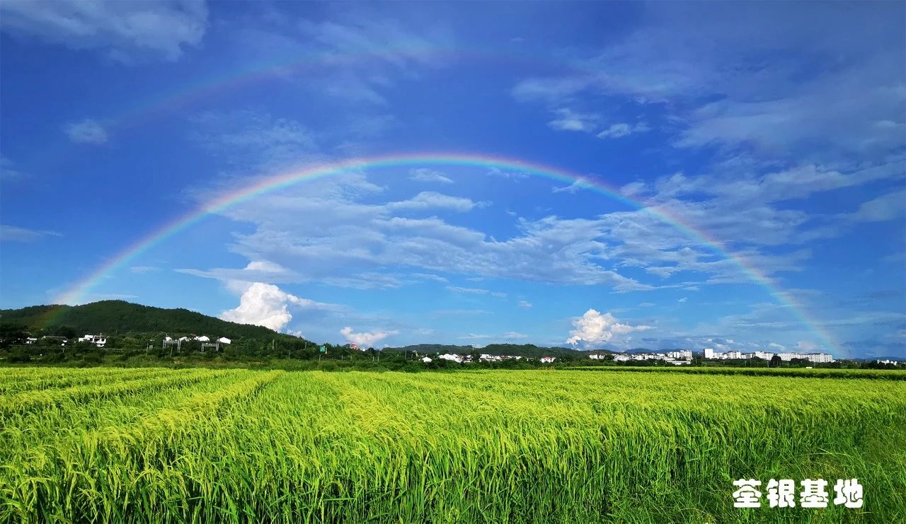 微信圖片_20231123134045.jpg 微信圖片_20231123134045.jpg